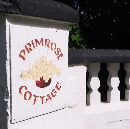 Bansha House 호텔 티퍼레리